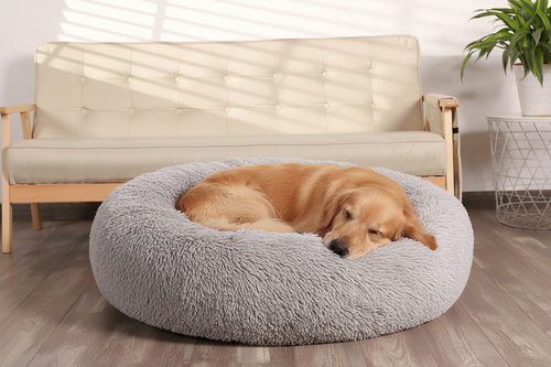 Calming Donut Dog Bed Lifestyle